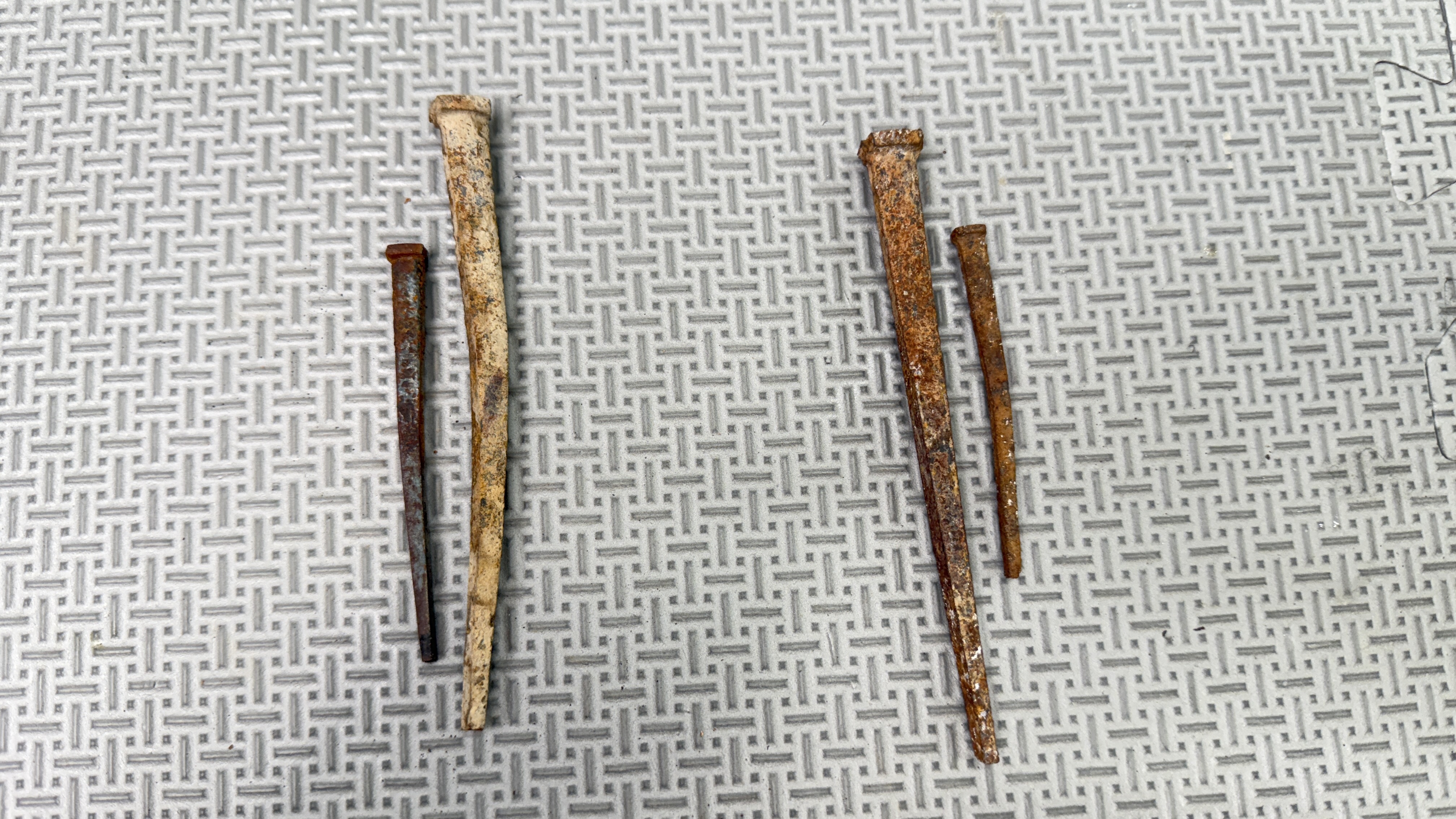 Nails photograph